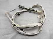 SRS Modul Dach links AUDI A8 D3 (4E2, 4E8) S8 quattro 4H4880741 4H4880741D