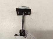 Türanschlag hinten rechts FORD C-MAX (DM2) 1.8 TDCi 3M51R23500AG