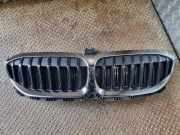 Vorderer oberer Gitter BMW 3 (G20, G28) 3 (G20) 330 i 9465190
