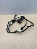 Kabel Tür Audi A4 Avant (8E, B7) 8E0971687L
