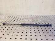 Heckklappendämpfer links Chevrolet Captiva (C100, C140) 95326923