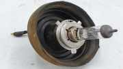 Xenon-Lampe NISSAN X-TRAIL (T30) 2.2 Di 4x4