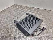 Audio-Verstärker Volvo V70 III (135) 31310010