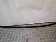 Dachleiste links BMW X6 (E71, E72) xDrive 50 i 5532215