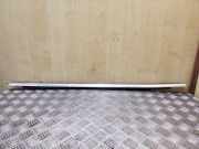 Türverkleidung rechts hinten Ford Focus IV (HN)