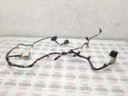 Türverkabelung hinten links SKODA OCTAVIA II Combi (1Z5) 2.0 TDI RS 1Z0161C