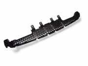 Kühlergrill unten Kia Sorento II (XM) 865612P000