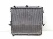 Radiator Pack Set NISSAN PATHFINDER III (R51) 2.5 dCi 4WD