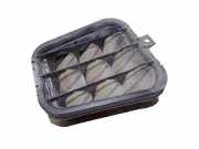 Karosserielüftungsgitter AUDI A6 Avant (4F5, C6) 2.0 TFSI 4B081981B