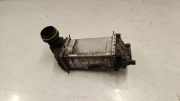 Ladeluftkühler AUDI A3 Sportback (8YA) 30 TFSI 05C145785C