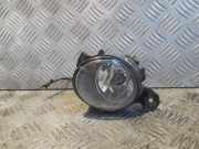 Nebelscheinwerfer rechts vorne BMW X5 (E70) 6924656