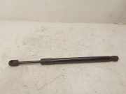 Heckklappe Gasdruckfeder links VW BEETLE Cabrio (5C7, 5C8) 2.0 TDI 5C3827550