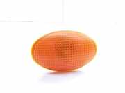 Kotflügelblinker vorne links FORD TRANSIT Furgon (FA_ _) 2.0 DI (FAE_, FAF_, FAG_) 93BG13K309AD