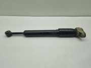 Stoßdämpfer hinten links MASERATI GHIBLI (M157) 3.0 06700089000