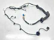 Kabel der vorderen linken Tür MERCEDES-BENZ A (W177) A 220 4-matic (177.045) A1775409610