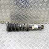 Stoßdämpfer hinten rechts