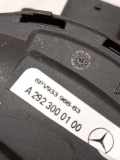 Fahrpedal Mercedes-Benz GLE (W166) A2923000100
