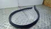 Türgummi links vorne Mercedes-Benz E-Klasse Cabriolet (A238) A2386922600