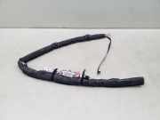 Airbag Dach rechts Citroen C3 (FC) 9672465480