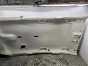 Dachverkleidung FORD GALAXY III (CK) 2.0 TDCi