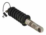 Stoßdämpfer hinten links FERRARI 360 Spider (F131) 3.6 174724