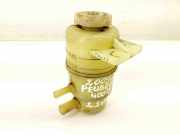 Behälter Servolenköl Peugeot 4007 ()