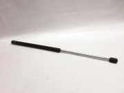 Heckklappe Gasdruckfeder rechts FORD FOCUS IV (HN) 1.0 EcoBoost N406A10AB