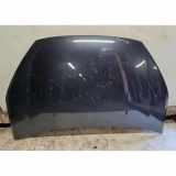 Motorhaube FORD GALAXY (WA6) 2.2 TDCi