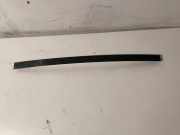 Türverkleidung rechts hinten BMW X5 (E70)