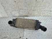 Ladeluftkühler CITROËN C5 II (RC_) 2.0 16V (RCRFJB, RCRFJC) 9657073480
