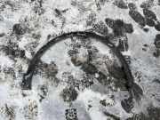 Front Arch Liner RENAULT KADJAR (HA_, HL_) 1.5 dCi 110 638744170