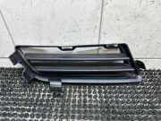 Gitter vorne unten BMW 6 Cabrio (F12) M6 7211474
