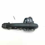 Türaußengriff vorne rechts