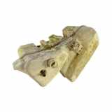 Fensterwaschtank LAND ROVER RANGE ROVER SPORT (L320) 2.7 D 4x4 500081100