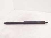 Heckklappendämpfer links BMW X5 (E70) 7177283