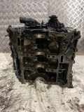 Motorblock Audi A6 Avant (4F, C6) 059103023G