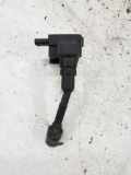 Zündspule FORD TRANSIT CONNECT 1.0 EcoBoost D5E1C