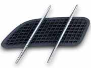 Ziergitter Mercedes-Benz SL (R231) A2317500044