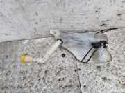 Fensterwaschtank RENAULT SCÉNIC III (JZ0/1_) 1.5 dCi 289100033R