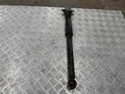 Stoßdämpfer hinten rechts