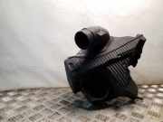 Luftfiltergehäuse Nissan Juke (F15) 8200437235