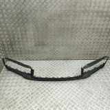 Front Bumper Center Moulding PORSCHE 911 (992) 3.0 Carrera 4S 992807579A