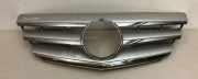 Gitter Grill vorne links MERCEDES-BENZ A (W169) A 150 (169.031, 169.331) A1698881060