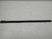 Vertikale Verkleidung an der hinteren linken Tür FORD C-MAX (DM2) 2.0 TDCi