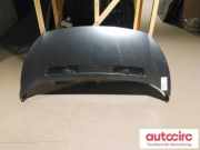 Motorhaube Peugeot Expert II Kasten (VF) 7901N1