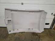 Dachverkleidung RENAULT CLIO V (B7_) 1.3 TCe 130 (B7MF) 10000539075100