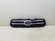Vorderer oberer Gitter TOYOTA RAV 4 III (_A3_) 2.0 4WD (ACA30_) 5310142190