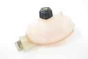 Ausgleichsbehälter RENAULT MASTER III Furgon (FV) 2.3 dCi 150 FWD 217100015R