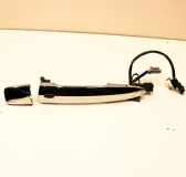 Türaußengriff vorne rechts NISSAN LEAF (ZE1) Electric