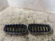 Gitter Grill vorne links BMW X3 (E83) 3.0 d